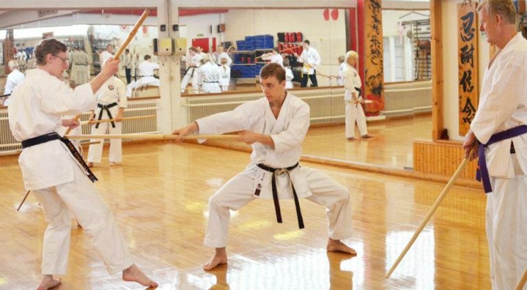 Guide and Information For Karate Enthusiasts - Karate Maine Blog